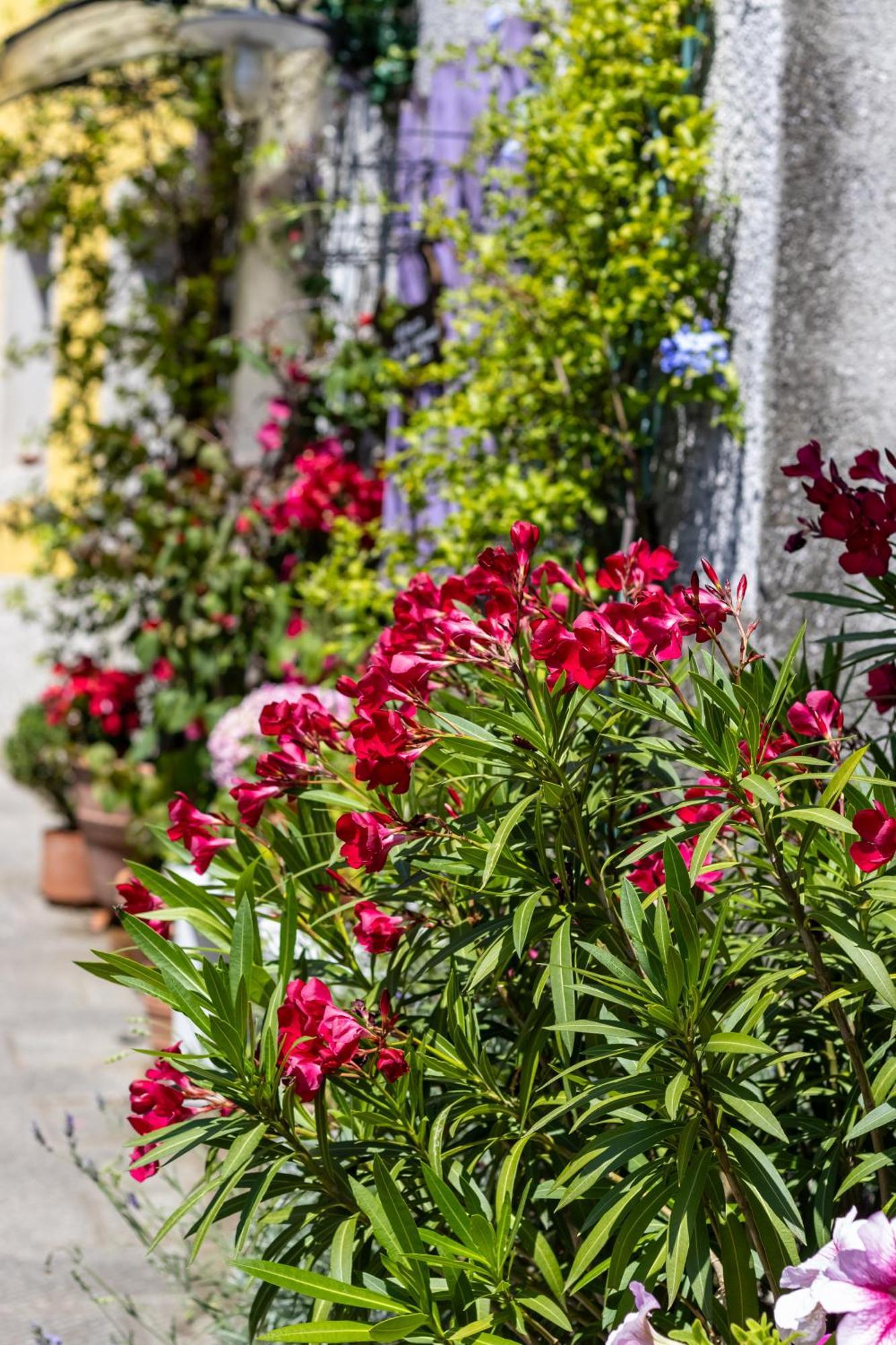 Emma'S House Villa Sasseta ภายนอก รูปภาพ