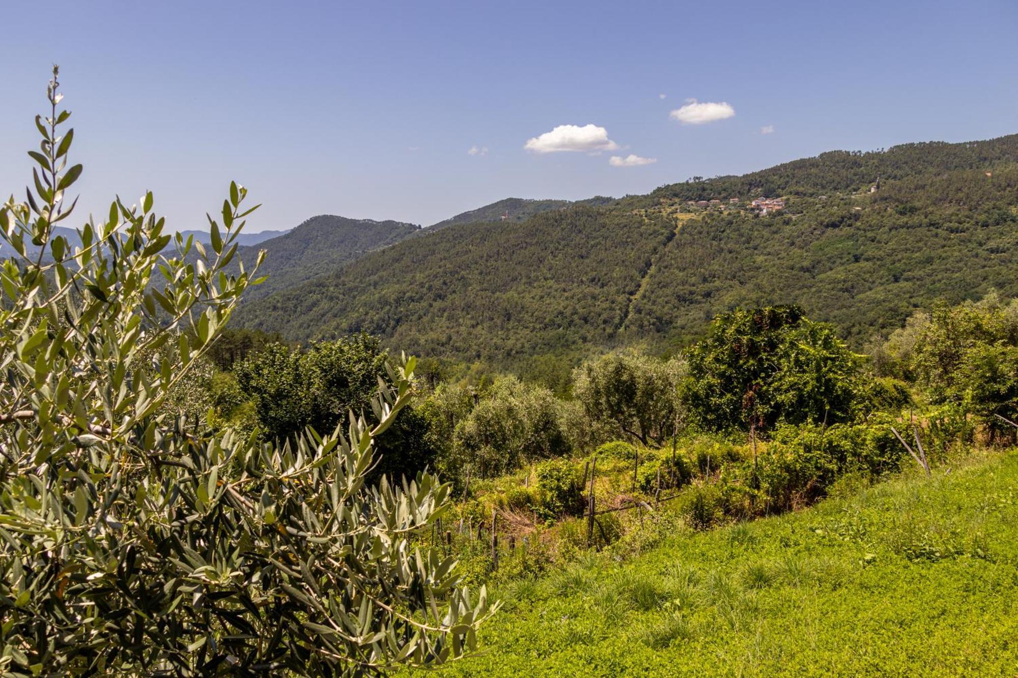 Emma'S House Villa Sasseta ภายนอก รูปภาพ