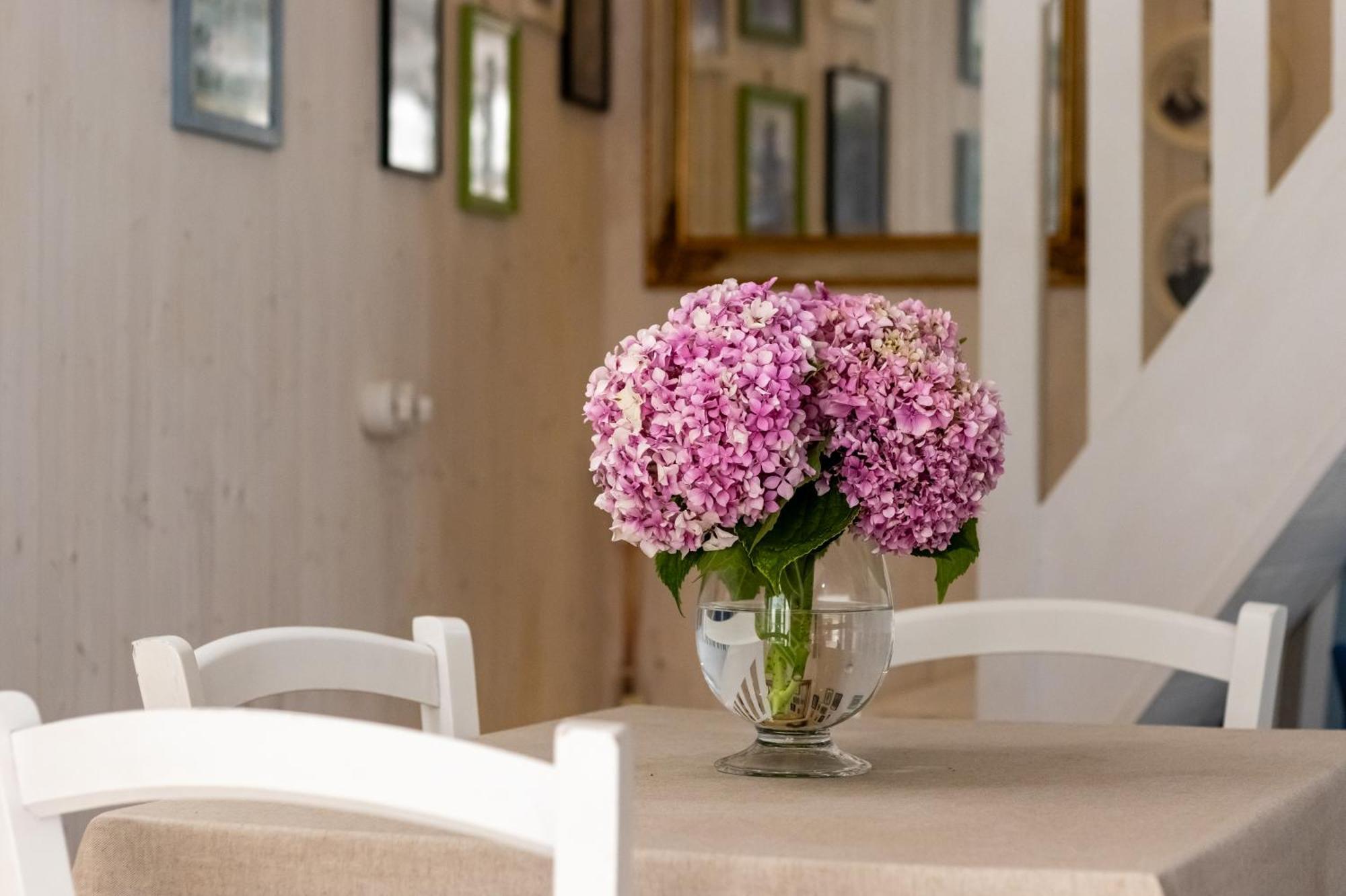 Emma'S House Villa Sasseta ภายนอก รูปภาพ